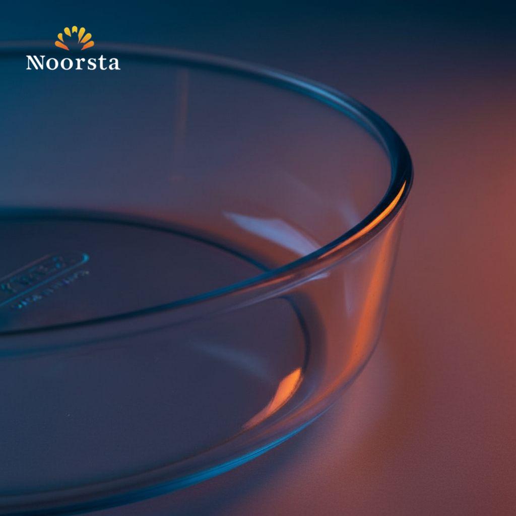 صينية بايركس مدورة غويطة فرنساوي للطبخ - Authentic French Pyrex Deep Round Baking Dish 25cm - Noorsta