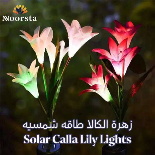 Solar Calla Lily Lights