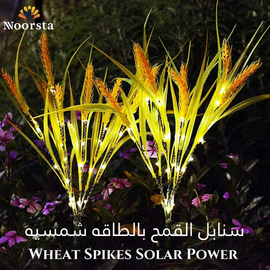 Wheat Spikes Solar Power