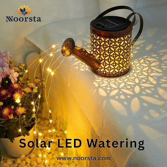 Solar LED Watering