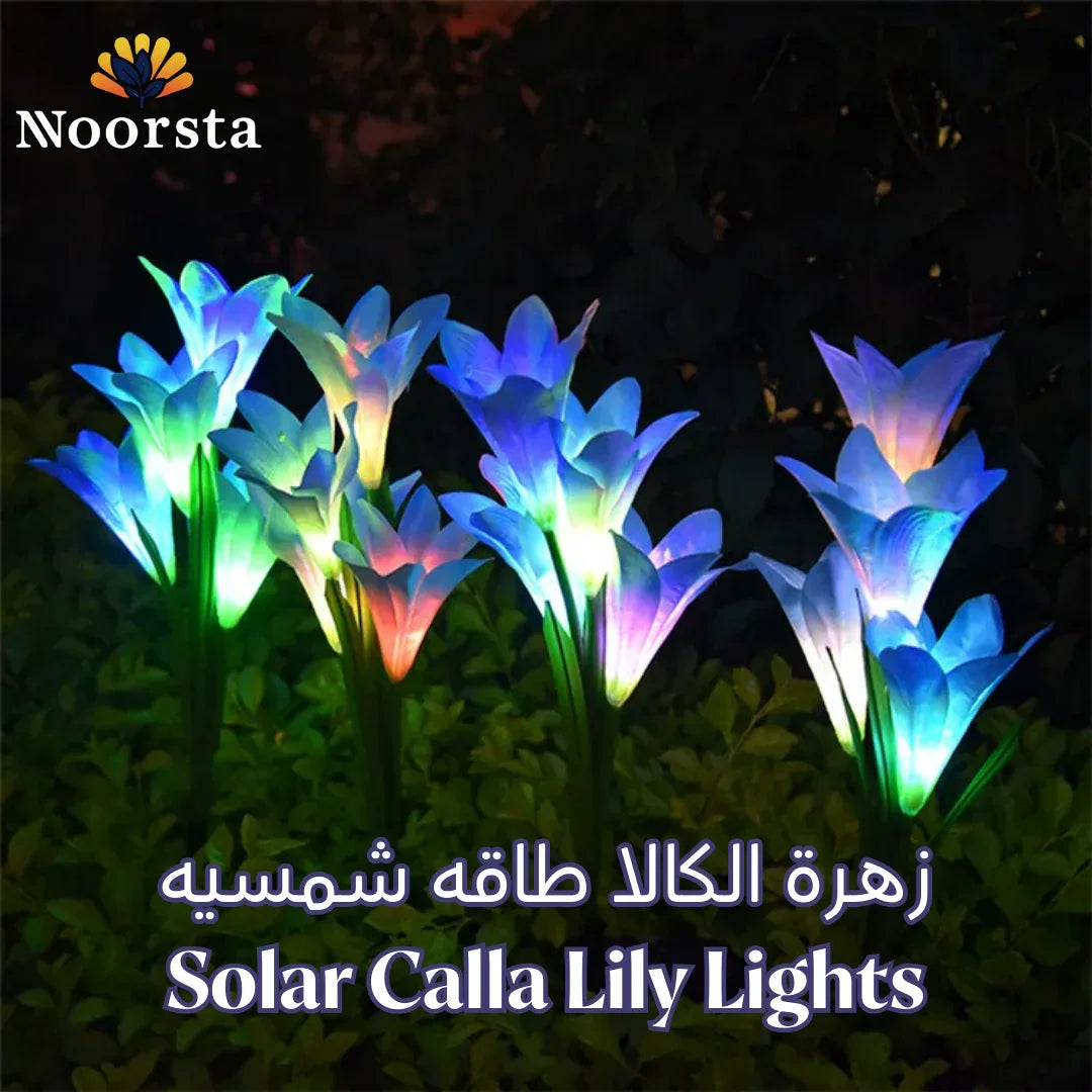Solar Calla Lily Lights