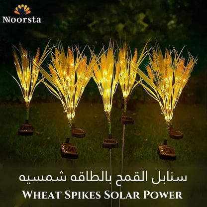 Wheat Spikes Solar Power
