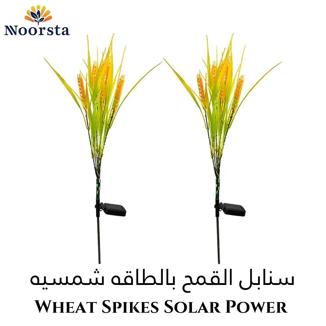 Wheat Spikes Solar Power