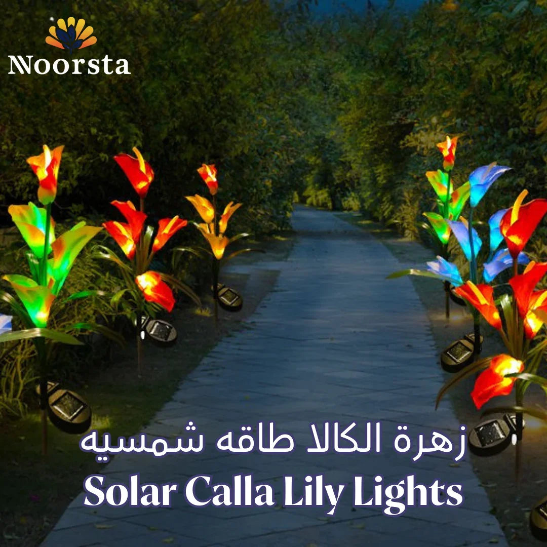 Solar Calla Lily Lights