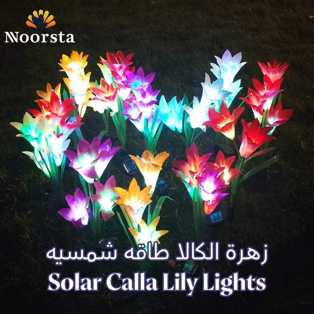 Solar Calla Lily Lights