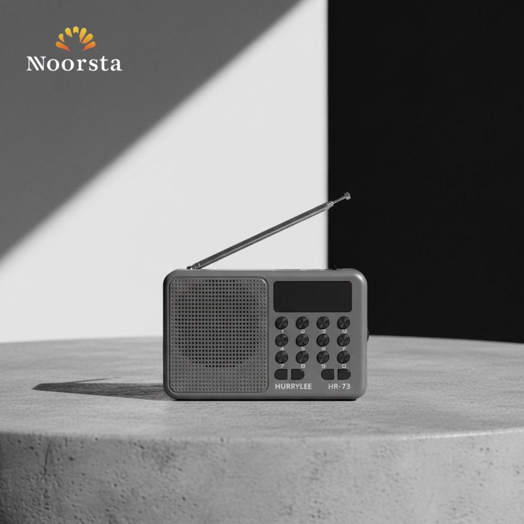 راديو ديجيتال محمول بلوتوث HURRYLEE - Modern HURRYLEE Portable Digital Radio - Noorsta